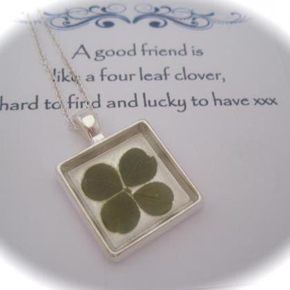 A Lucky Four Leaf Clover Memory Necklace