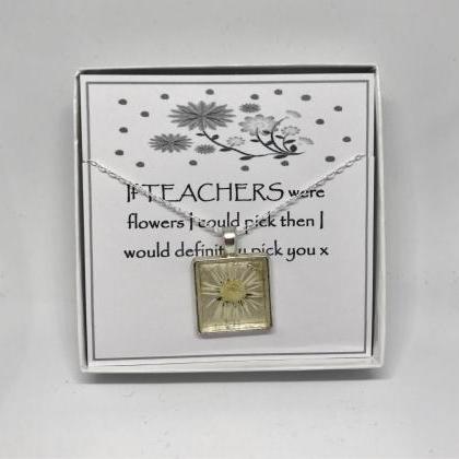 Teacher Thank You Gift - A Real Daisy Memory..