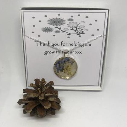 Teacher Thank You Gift - A Real Forget-me-not..
