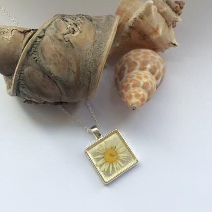 Happy Birthday Nature Necklace - Real Dried..