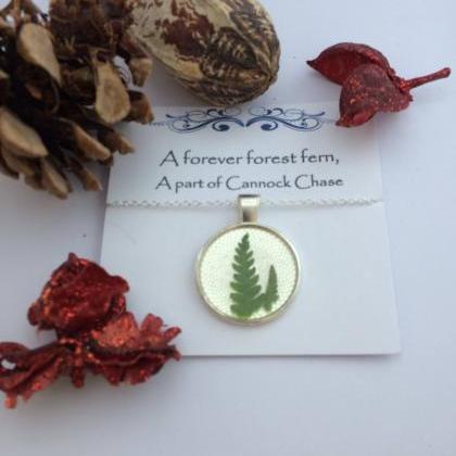 Memories Of Forest Ferns - 'a Forever..