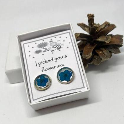 I Picked You A Flower - Blue Dried Flower Earrings