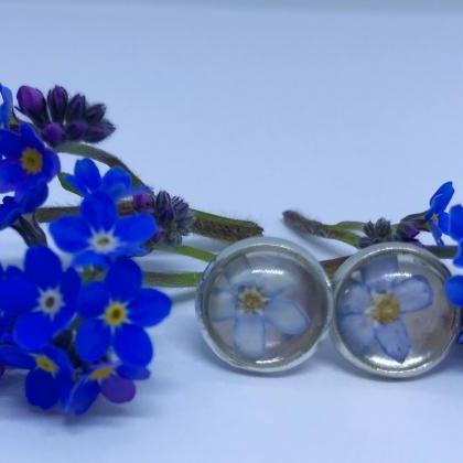 Forget-me-nots - Beautiful Real Dried Flower Stud..