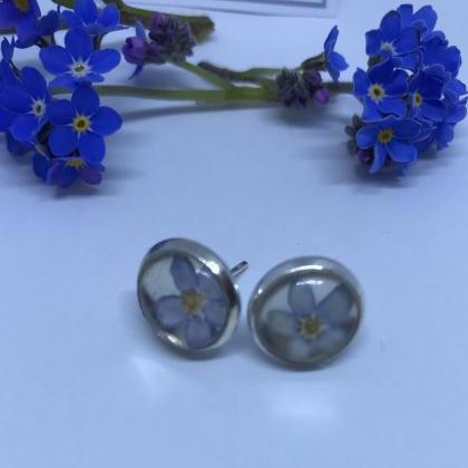 Forget-me-nots - Beautiful Real Dried Flower Stud..