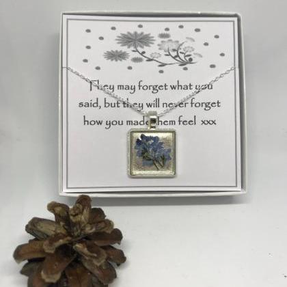 Teacher Thank You Gift - A Real Forget-me-not..