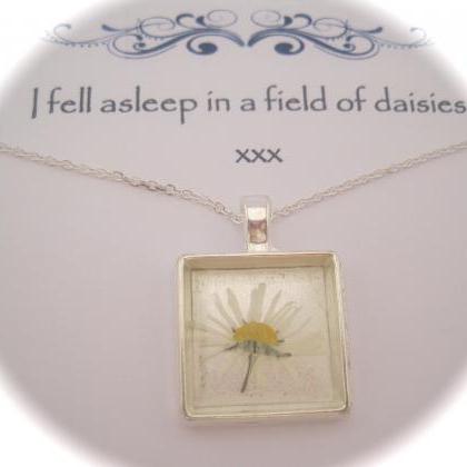 Memories Of Daisies In The Garden - A Real Daisy..