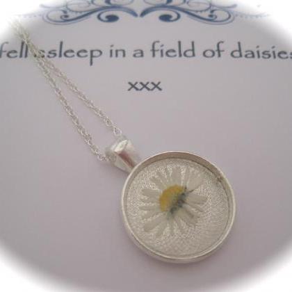 Memories Of Daisies In The Garden - A Real Dainty..