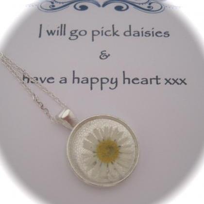 Memories Of Daisies In The Garden - A Real Dainty..