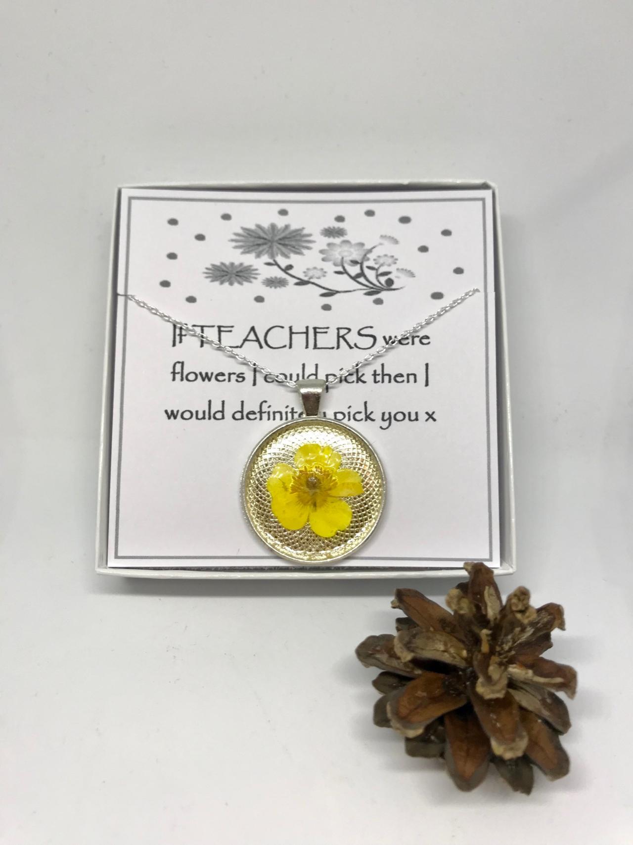 Teacher Thank You Gift - A Real Buttercup Memory Necklace With 'if Teachers Were Flowers I Could Pick Then I Would Definitely Pick