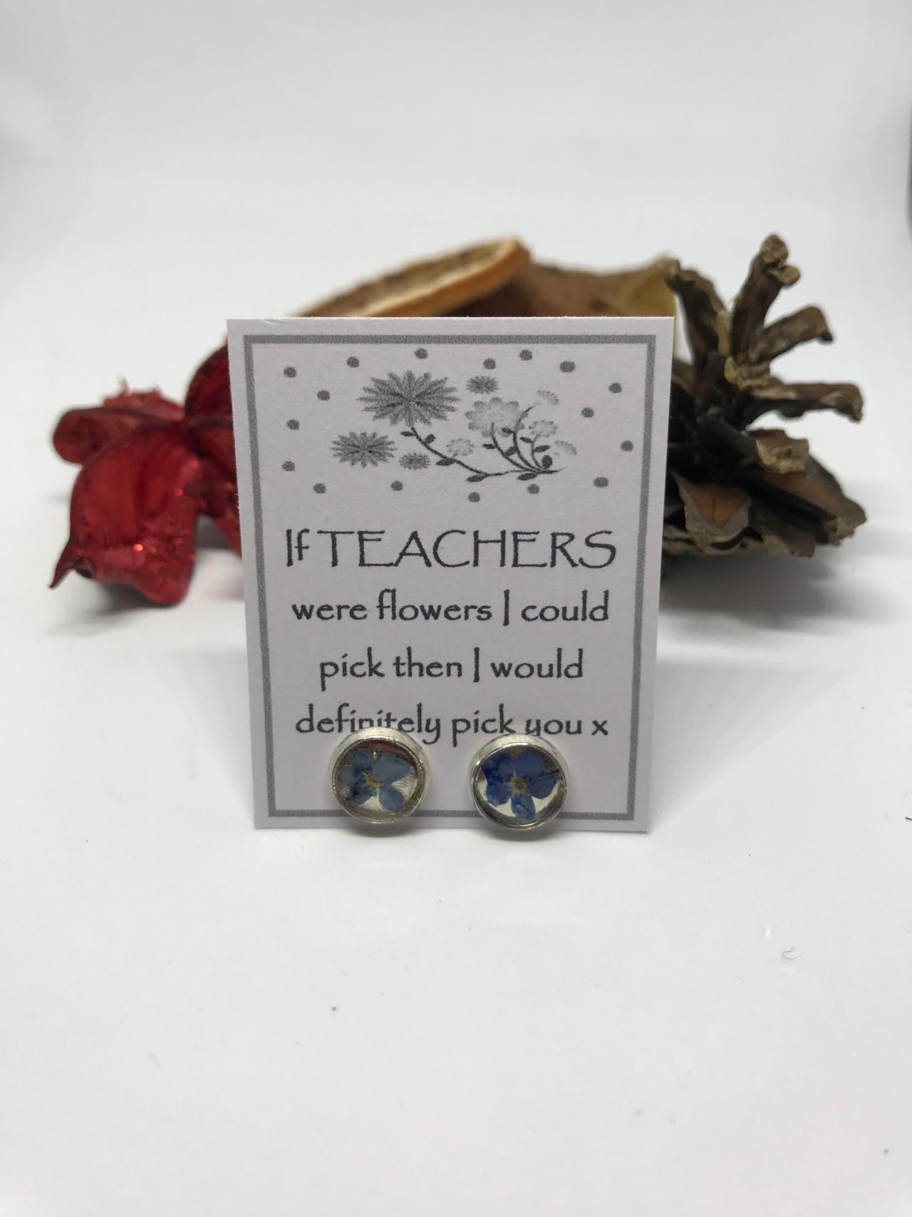 A Perfect Gift For A Teacher - Beautiful Forget-me-not Real Flower Stud Earrings