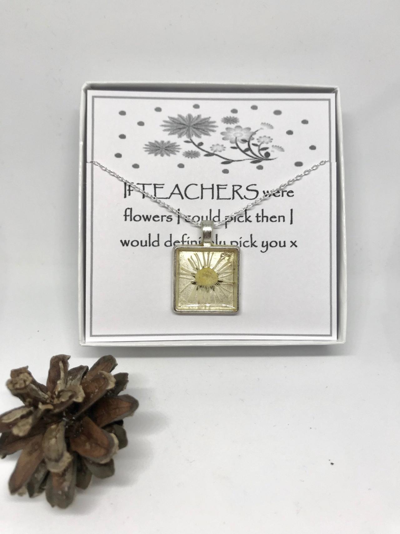 Teacher Thank You Gift - A Real Daisy Memory Necklace With 'if Teachers Were Flowers I Could Pick Then I Would Definitely Pick