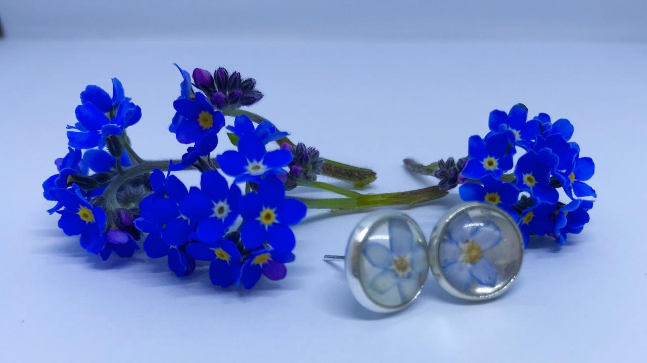 Memories Of Flowers - Forget-me-not Flower Earrings With A Beautiful Message
