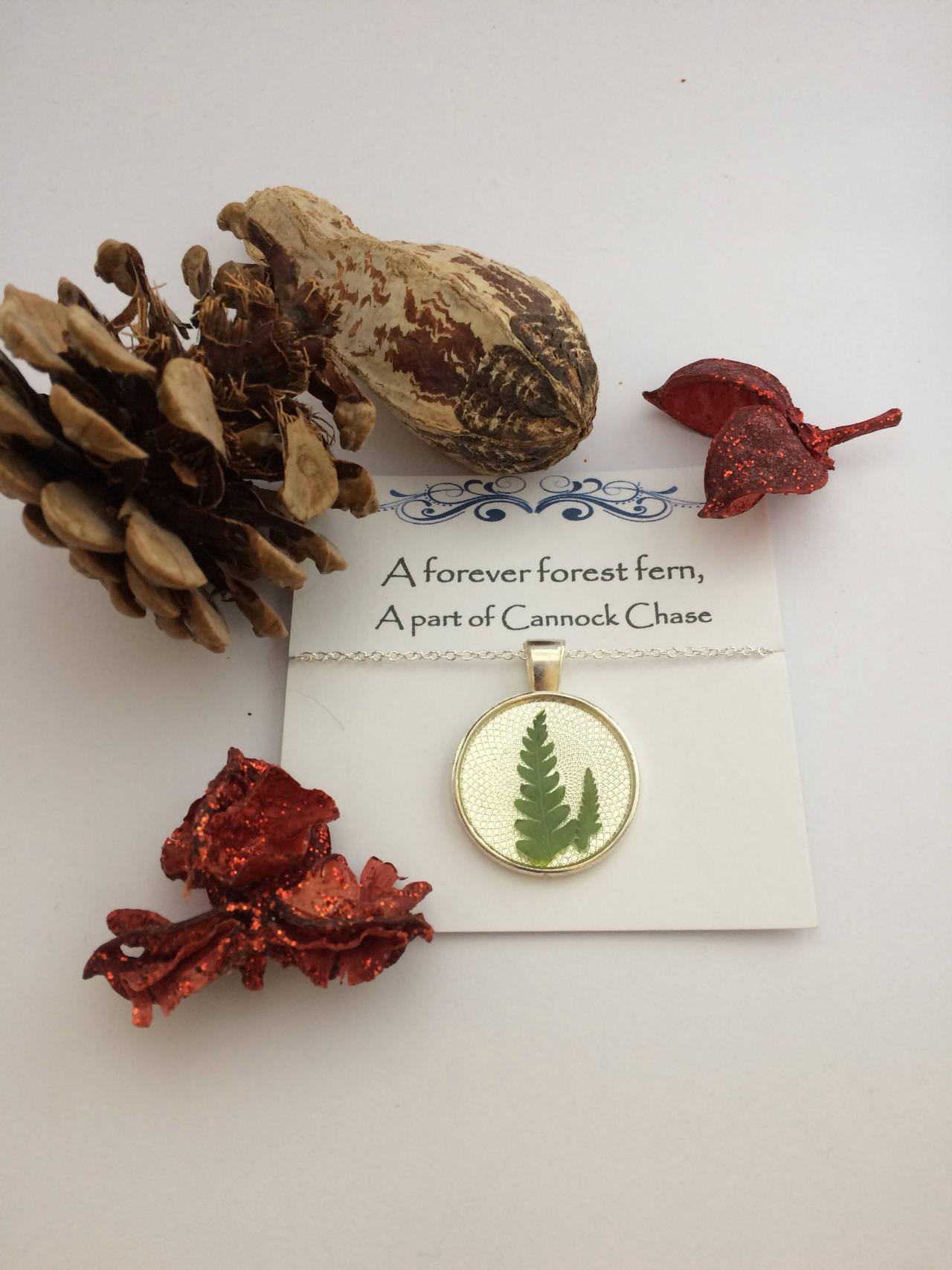 Memories Of Forest Ferns - 'a Forever Forest Fern, A Part Of Cannock Chase - Memory Necklace