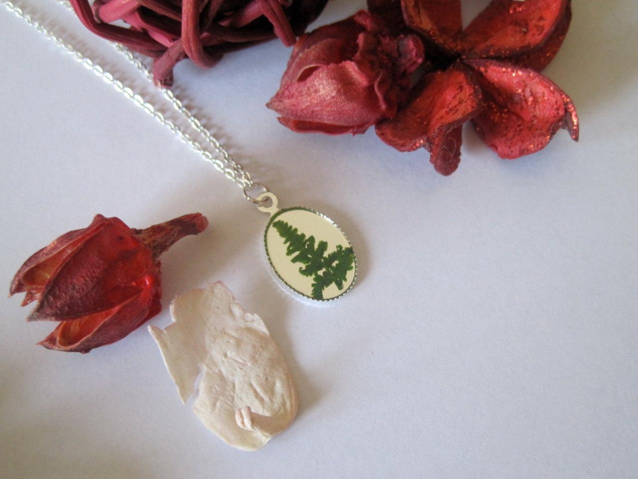 Memories Of Cannock Chase 'a Forever Forest Fern' Leaf Memory Necklace