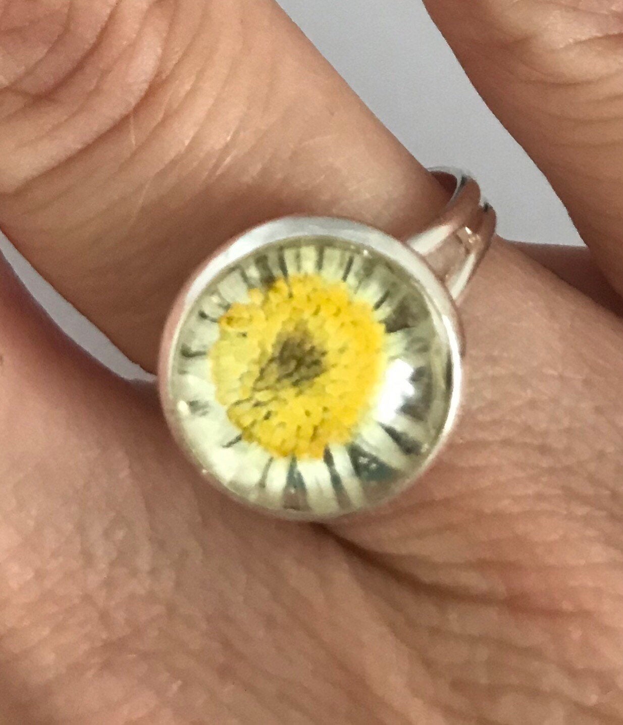 Beautiful Real Dried Daisy Flower Silver Extendable Ring