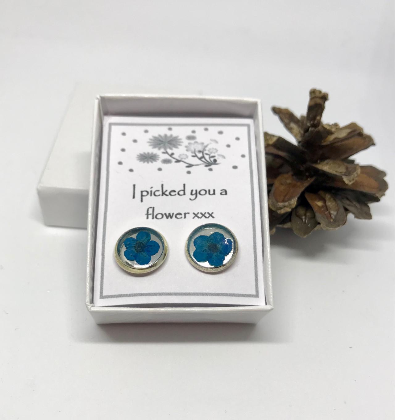 I Picked You A Flower - Blue Dried Flower Earrings