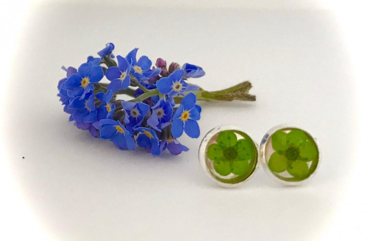 Available For Immediate Despatch - Green Or Red Dried Flower Earrings With A Message