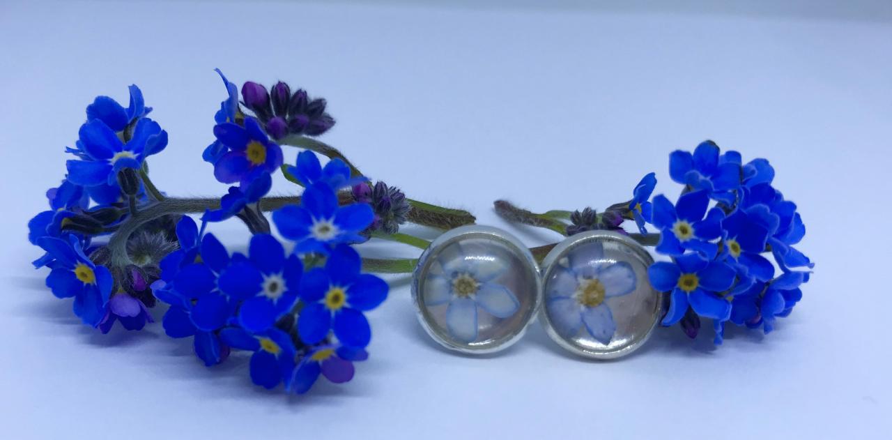 Forget-me-nots - Beautiful Real Dried Flower Stud Earrings