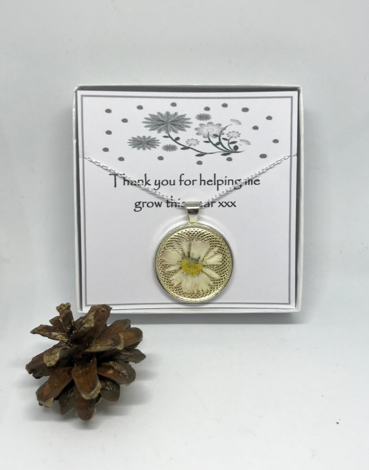 Teacher Thank You Gift - A Real Daisy Memory Necklace With 'thank You For Helping Me To Grow This Year'