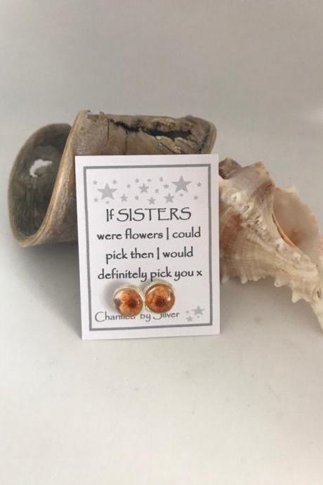 Available for immediate despatch - dried flower earrings with a message for a Sister x