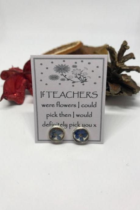 A perfect gift for a teacher - beautiful forget-me-not real flower stud earrings