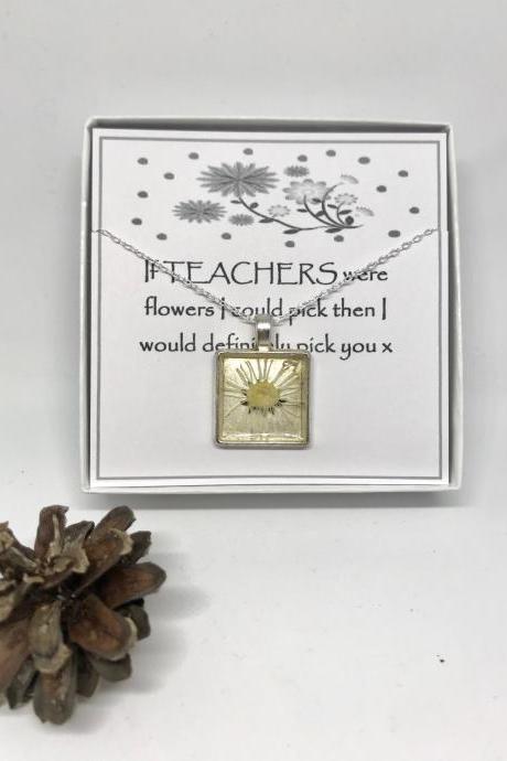 Teacher thank you gift - a real daisy Memory Necklace with 'If TEACHERS were flowers I could pick then I would definitely pick you'
