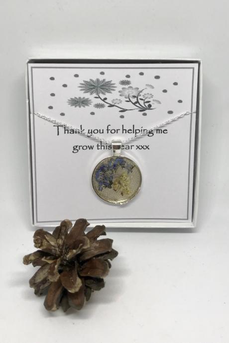 Teacher thank you gift - a real forget-me-not flower Necklace with 'Thank you for helping me to grow this year'