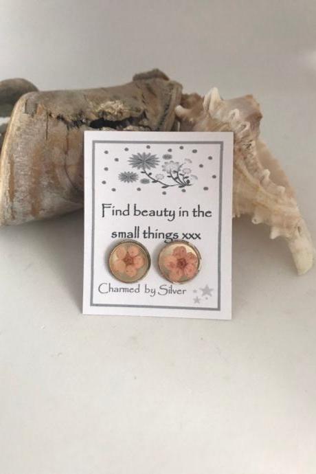 Available for immediate despatch - dried flower earrings with a message