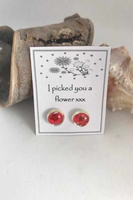 Available For Immediate Despatch - Dried Flower Earrings With A Message