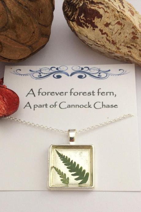 Memories of forest ferns - 'A forever forest fern, A part of Cannock Chase - Memory Necklace
